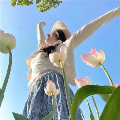 日韩热映
